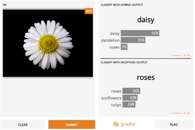 Deep Learning Interpretability